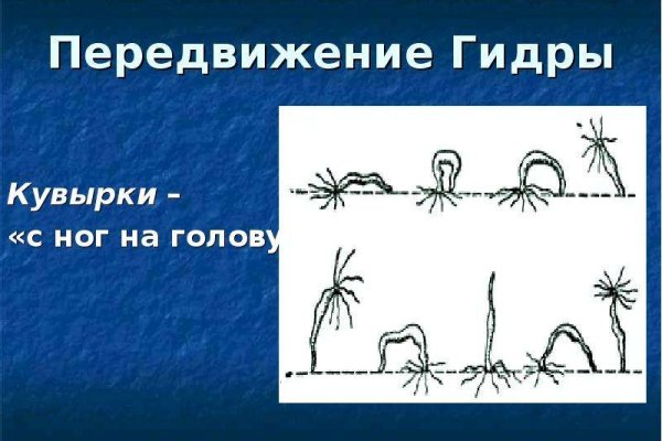 Как зайти в кракен с андроида