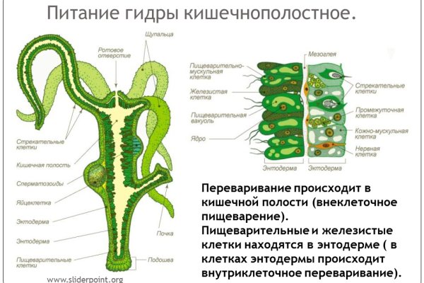 Кракен онион тор