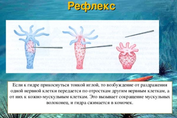 Маркетплейс кракен kraken darknet top